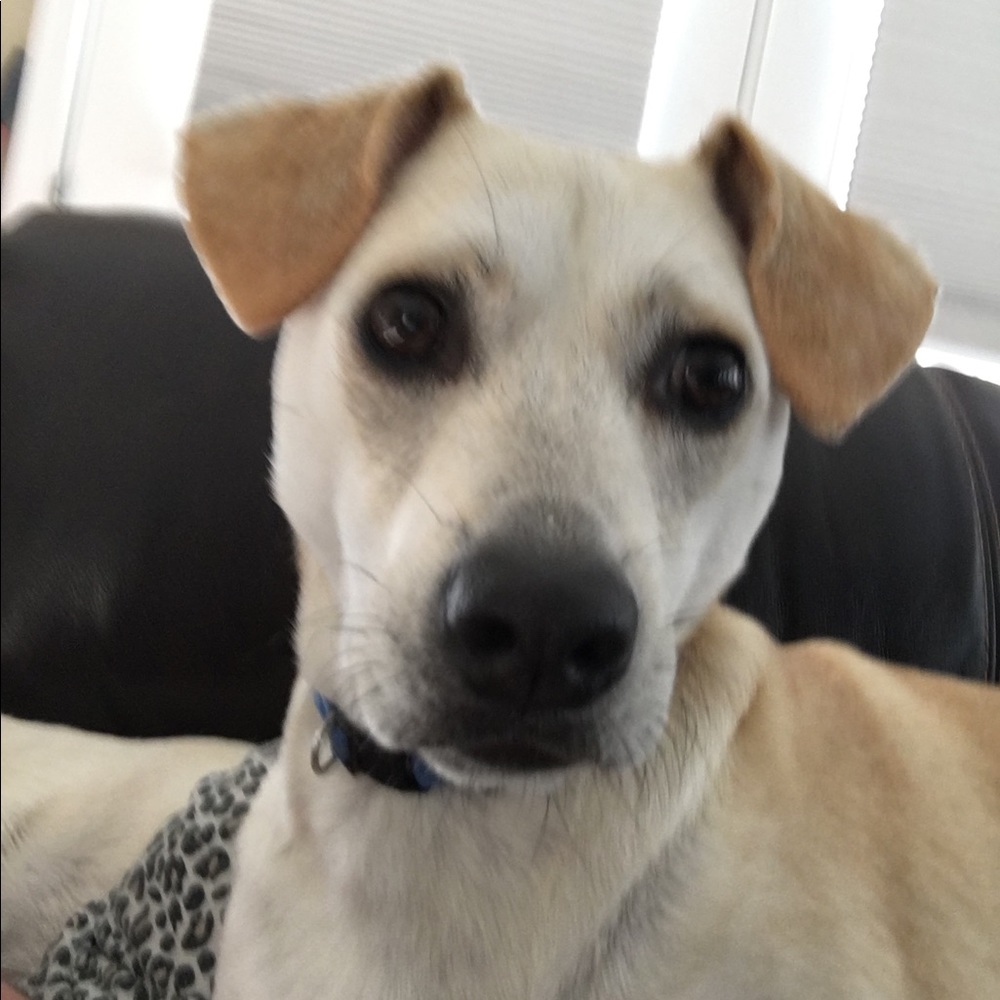 10 dollar sale pick 1 pick 2 or pic 3 for 25$